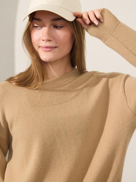 Alpine Crewneck Sweater Product Image