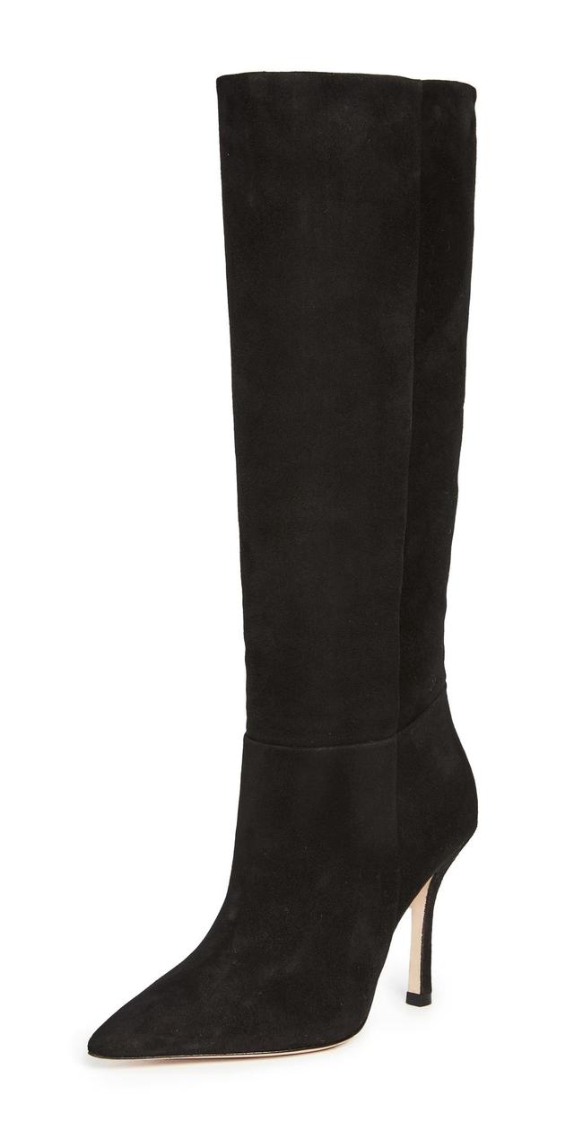 Larroud Kate Pointed Toe Knee High Boot Product Image