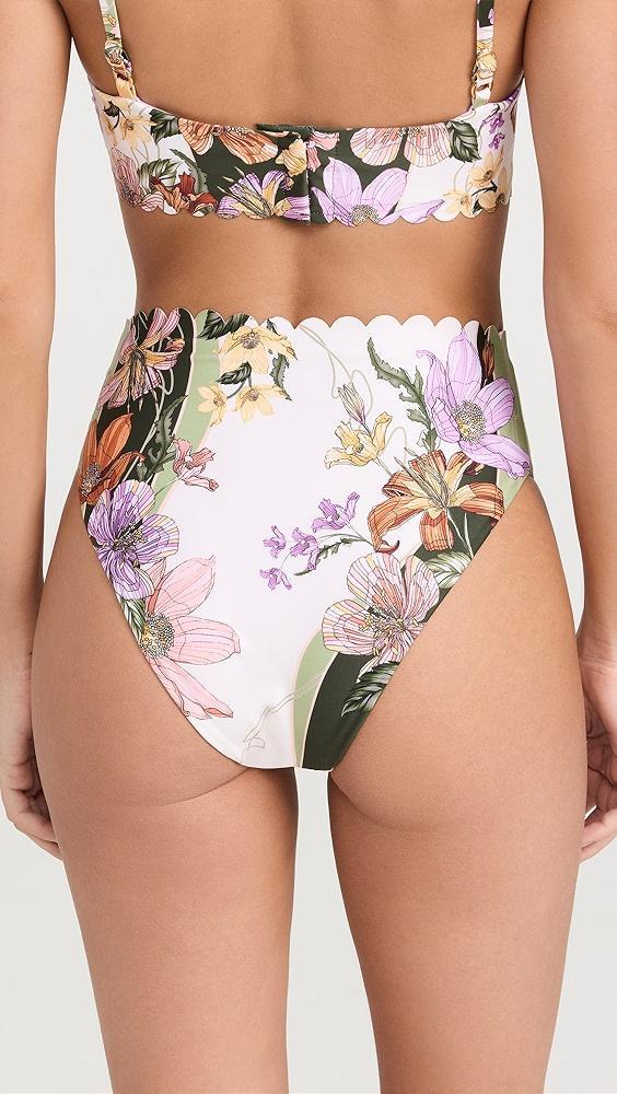 Agua Bendita Penelope Bikini Bottoms | Shopbop Product Image