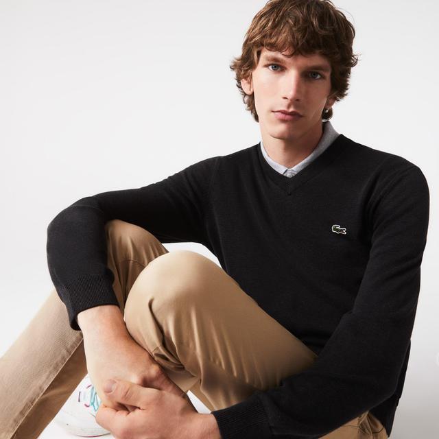 Men's Cotton V-Neck Sweater Product Image