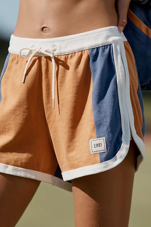 LIVE! Activewear Colorblocking Shorts Product Image