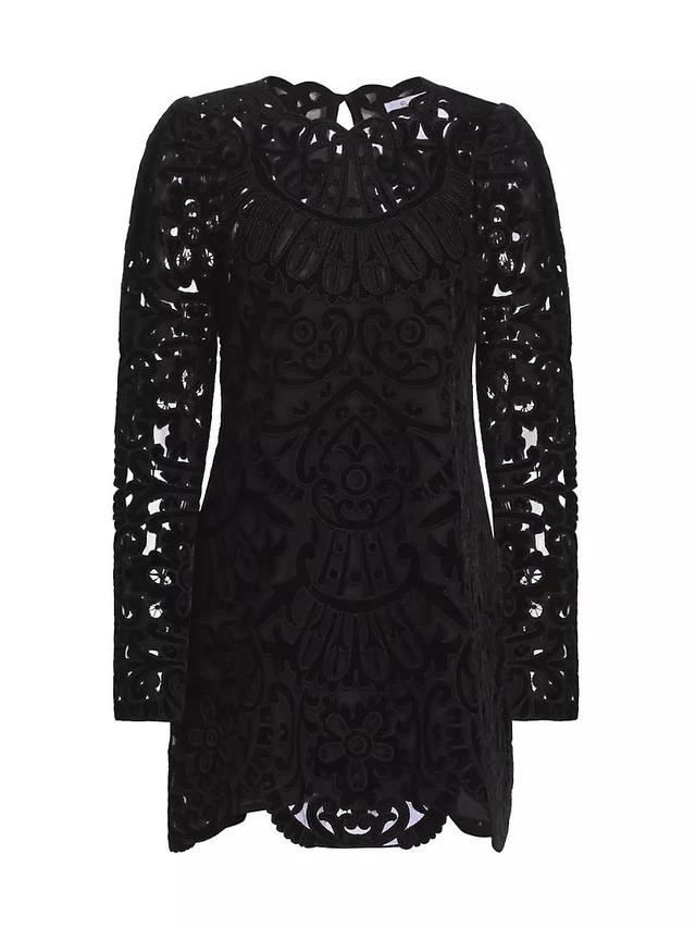 Dana Embroidered Velvet Dress Product Image