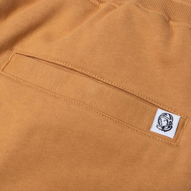 BB Physics Sweatpants - Apple Cinnamon Male Product Image