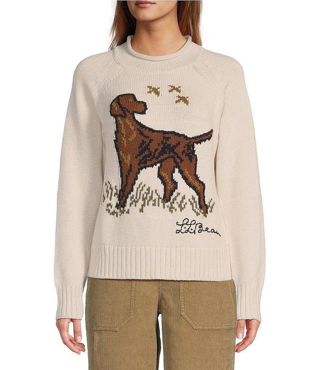 L.L.Bean Signature Original Heritage Rollneck Raglan Long Sleeve Pullover Novelty Sweater Product Image