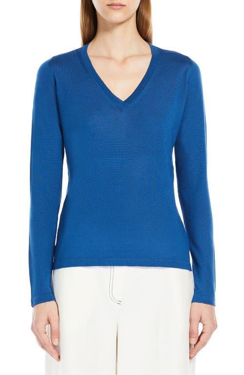 Max Mara Leisure Cavour V-Neck Virgin Wool Sweater Product Image