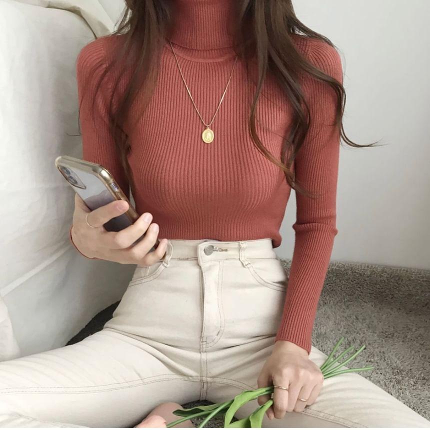 Turtleneck Plain Ribbed Sweater Product Image