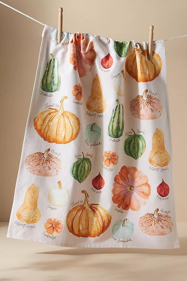 Types of Pumpkins Dish Towel Product Image