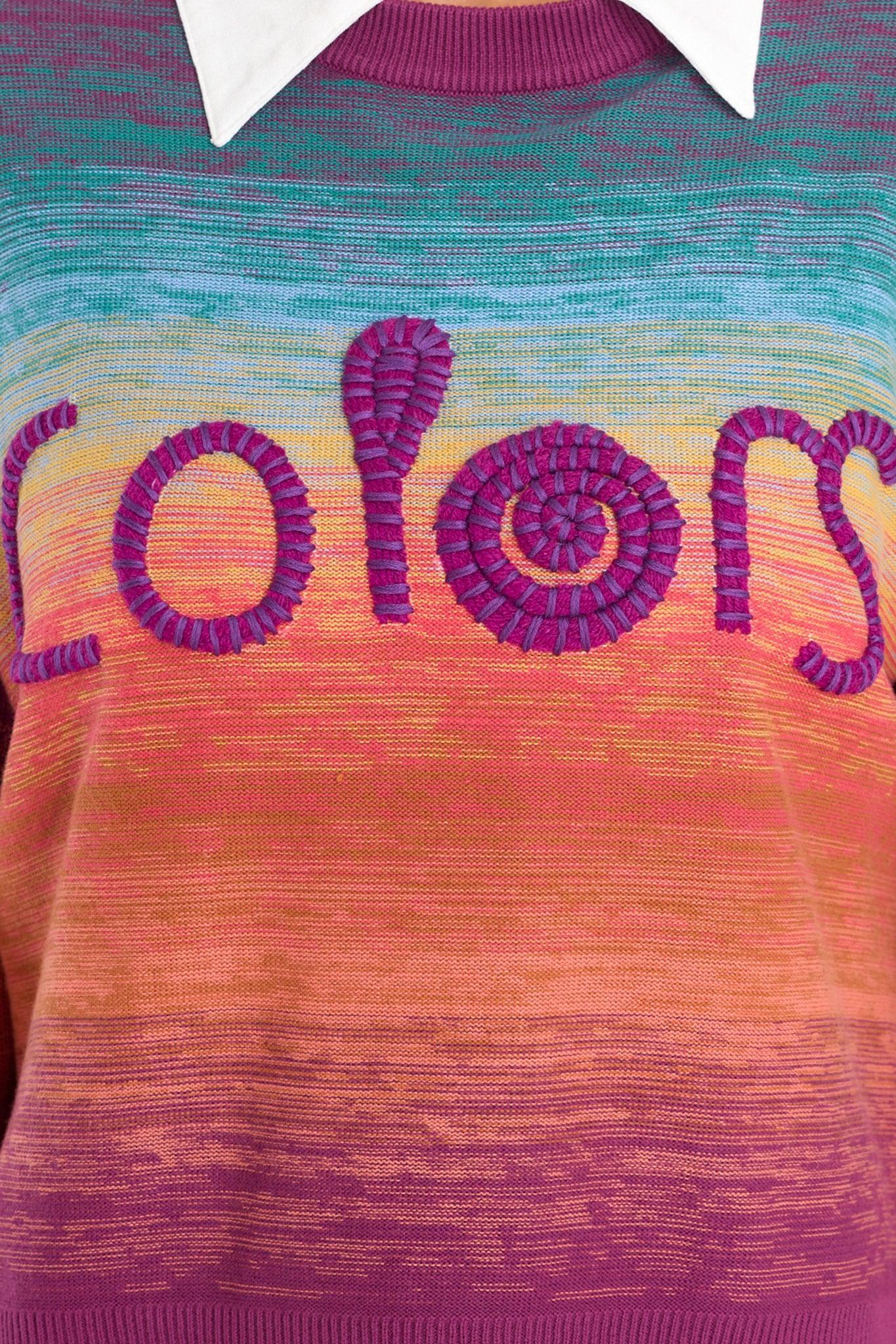 The Marybeth Colors Embroidery Sweater Product Image