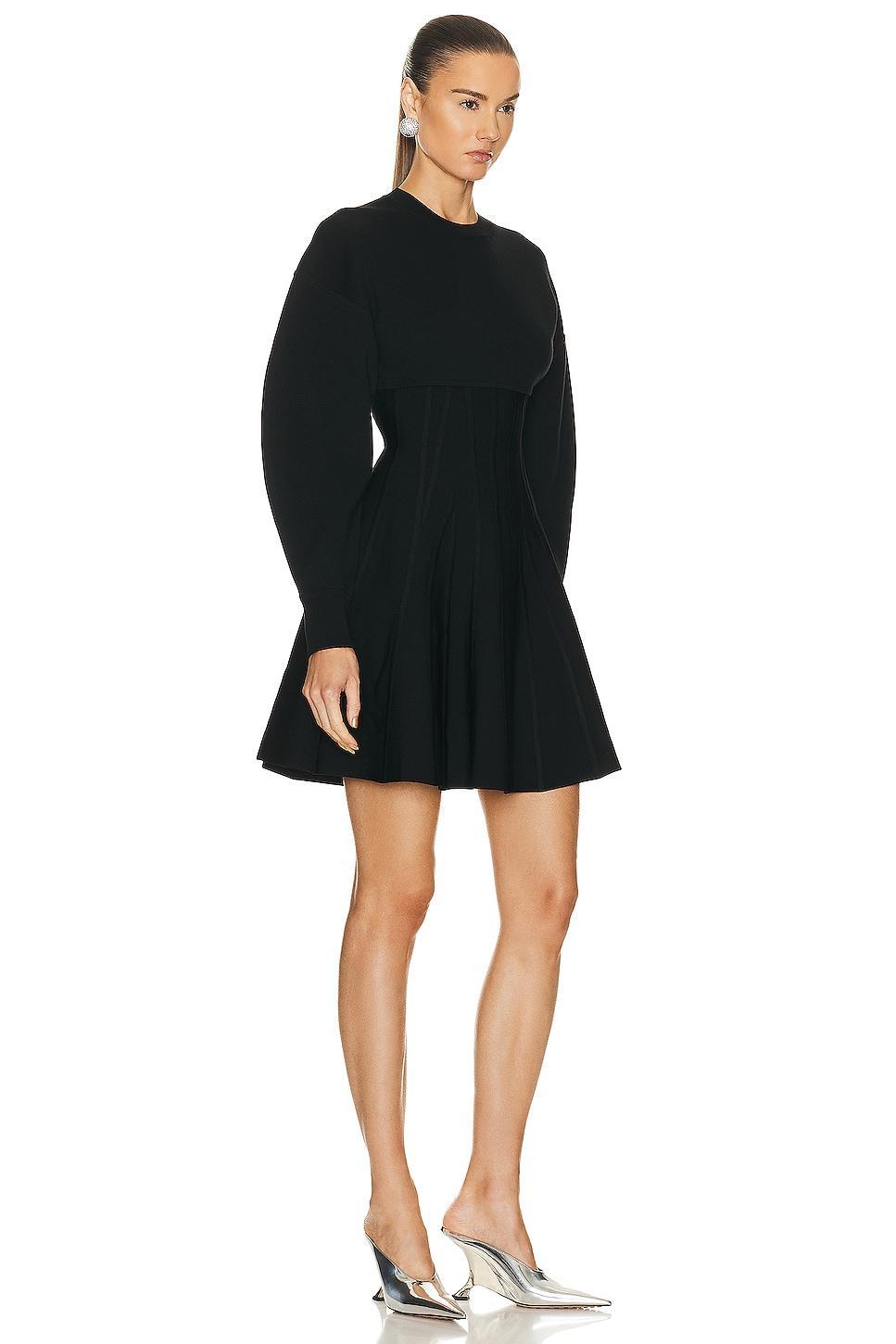 Alexander McQueen Corset Crewneck Mini Dress Black. (also in ). Product Image