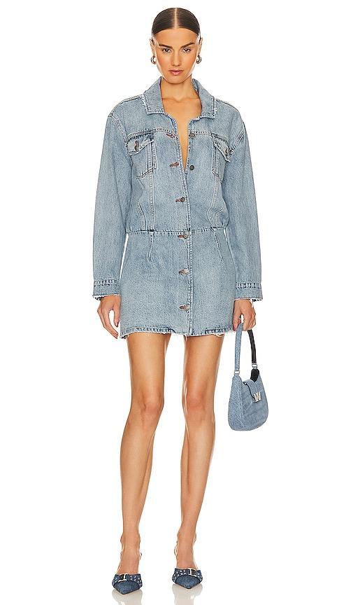 Womens Laura Denim Dress Product Image