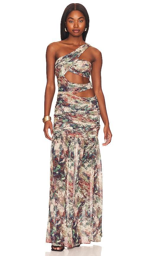 Adrianne Ruched Maxi Dress Product Image