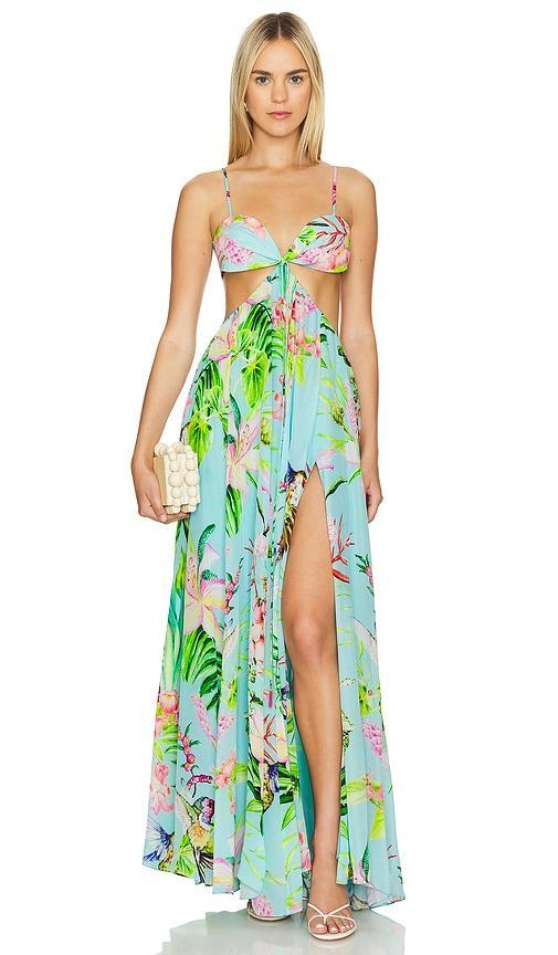 Maxi Dress Product Image