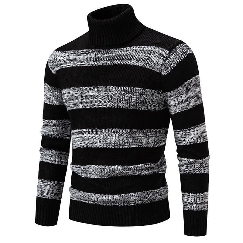 Turtleneck Striped  Sweater Product Image