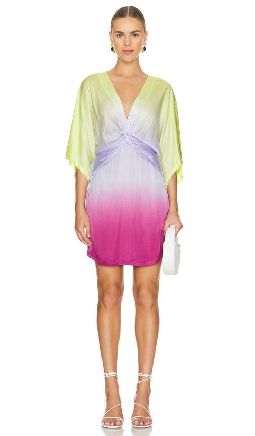 Arden Dress Product Image