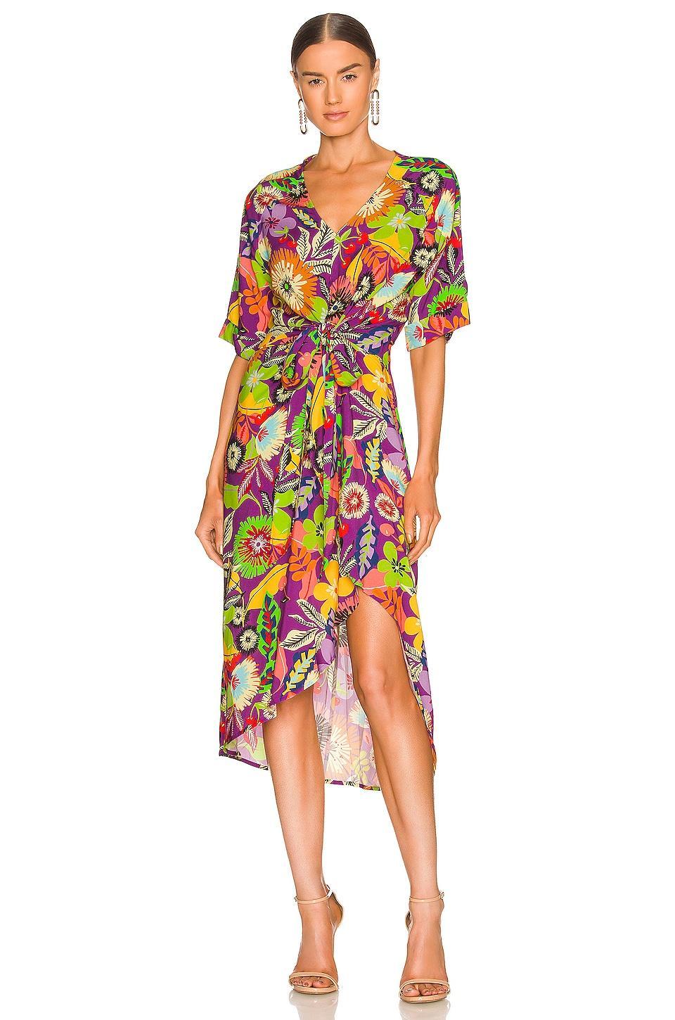 Gypsy Muse Dress Le Superbe Product Image