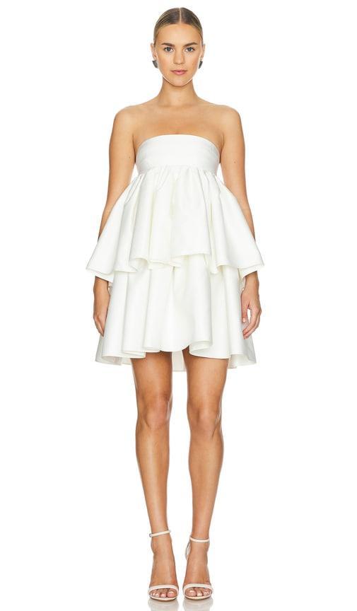 Ruffled Dress Product Image