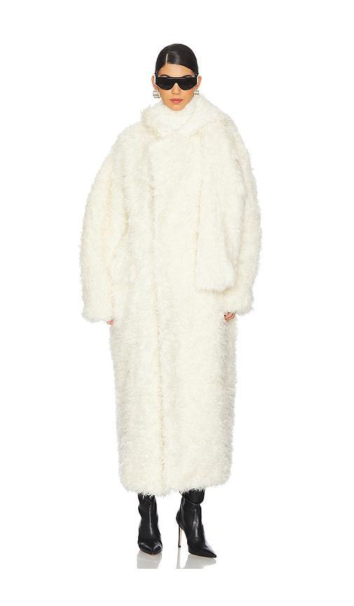 Faux Fur Coat Product Image