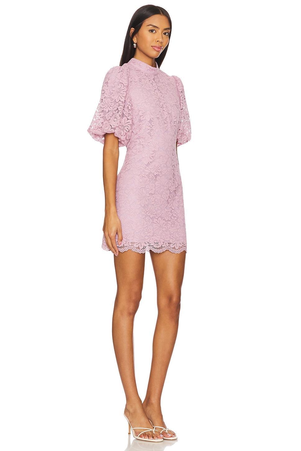 Diya Dress Steve Madden Product Image