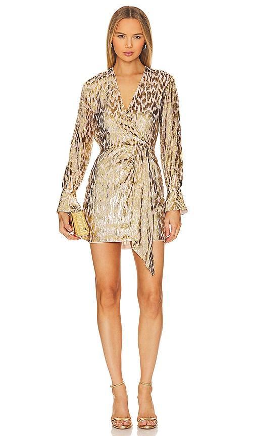 Simkhai Camryn Metallic Burnout Long Sleeve Minidress Product Image