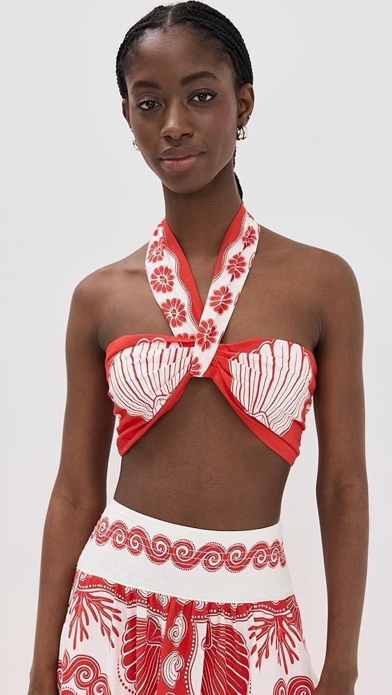 FARM Rio Ainika Shell Crop Top | Shopbop Product Image