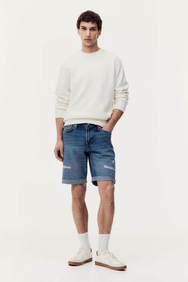 Regular Denim Shorts Product Image