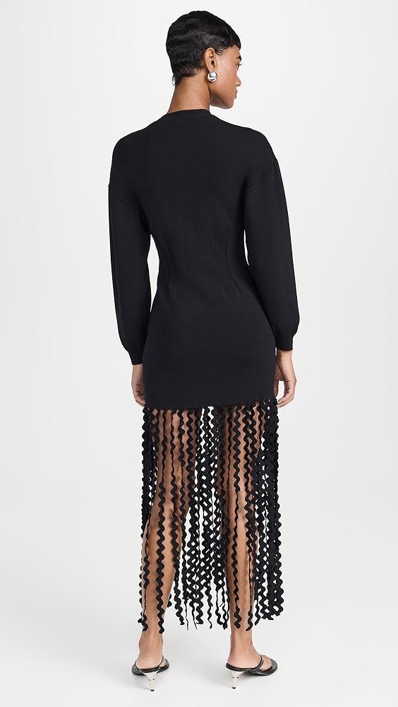 SIMONMILLER Wallis Knit Fringe Dress | Shopbop Product Image