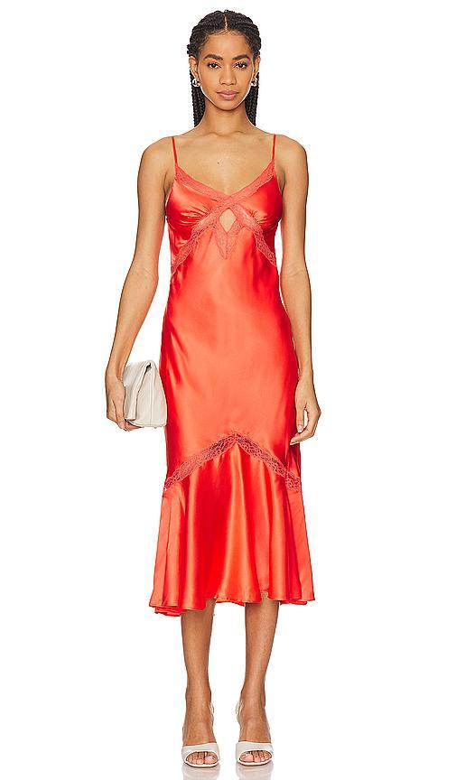 CAMI NYC Florentina Dress in Orange. Product Image