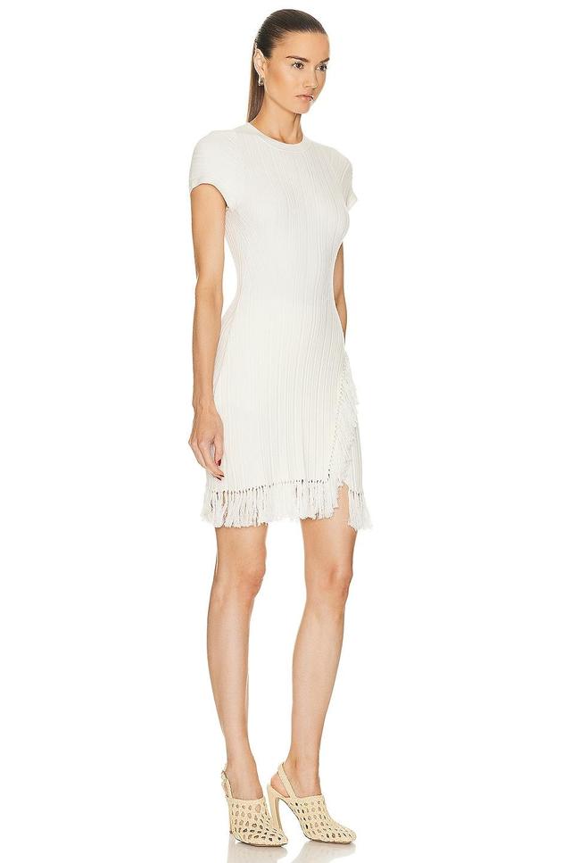 SIMKHAI Demitria Mini Dress in White. - size XL (also in L, M, S, XS) Product Image