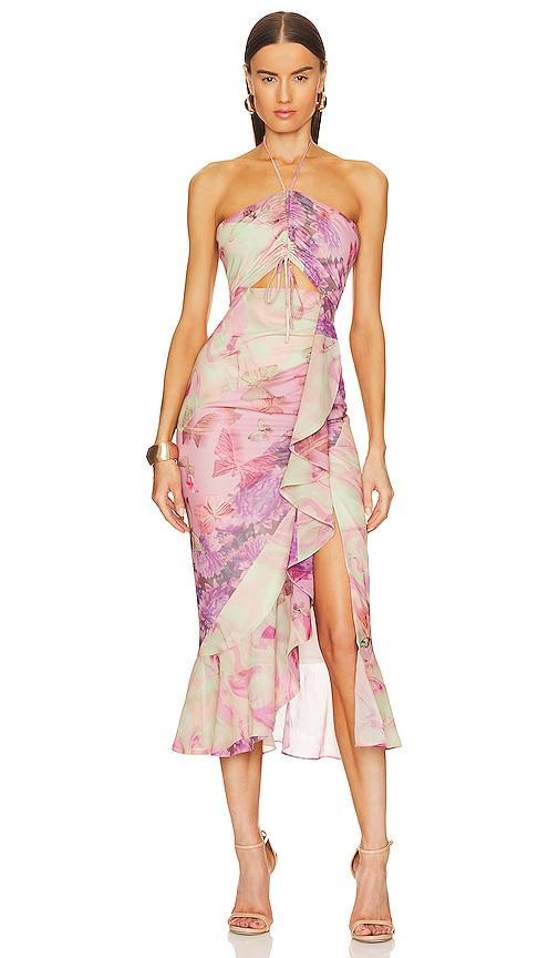 Bellisima Dress Product Image