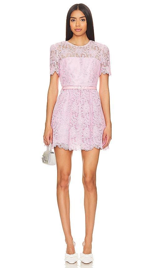 Guipure Lace Mini Dress Product Image