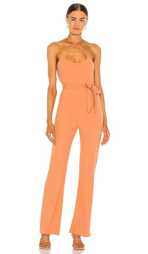 Langley Jumpsuit Product Image