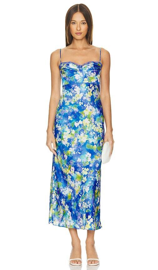 Florianne Dress Product Image