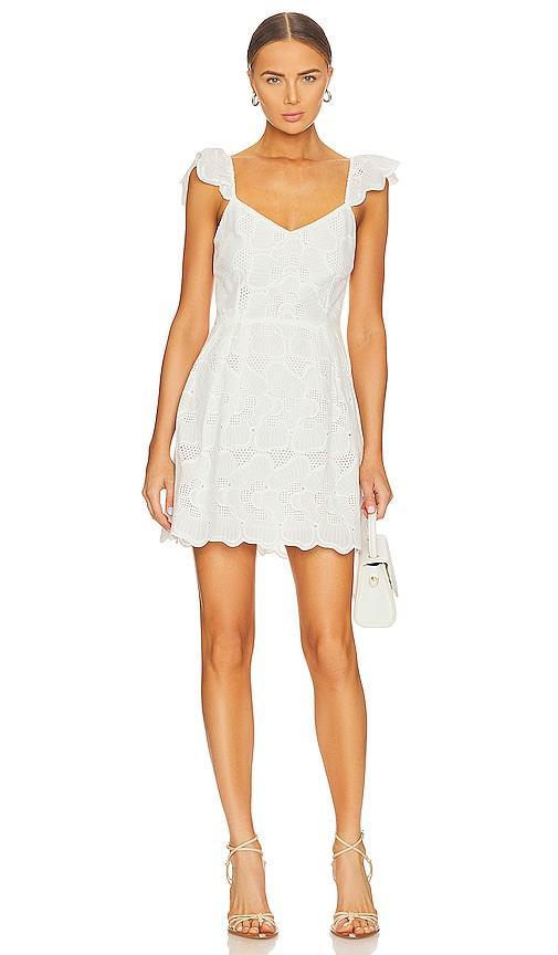 Steve Madden Womens Sierra Eyelet Scalloped Dress Product Image