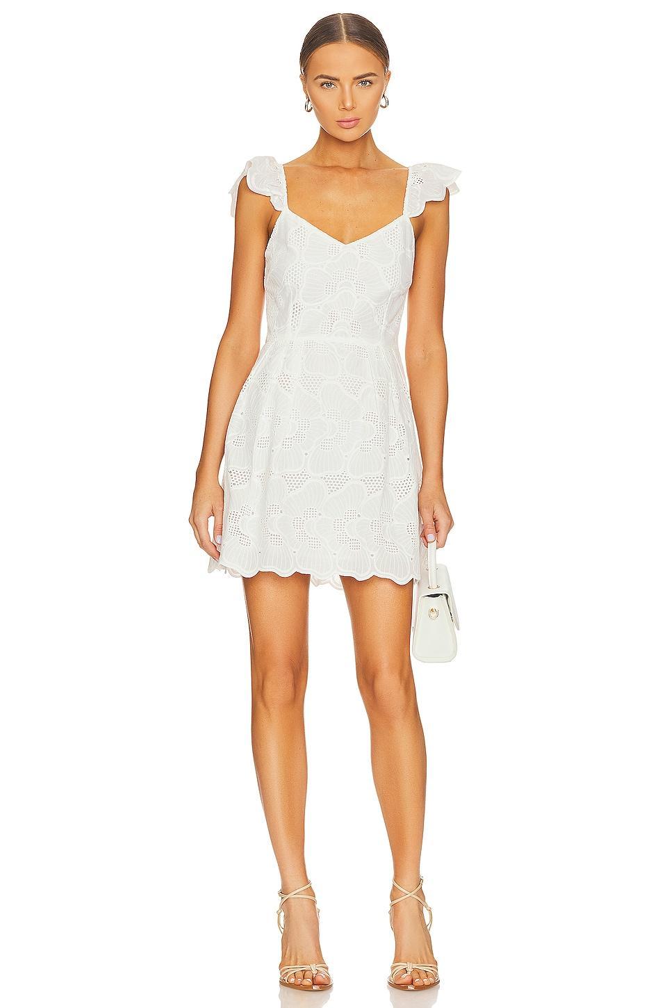 Sierra Dress Steve Madden Product Image