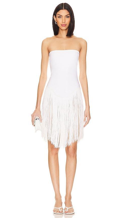 x REVOLVE Fringe Dress Product Image