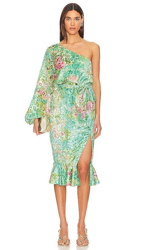 x REVOLVE Veena Midi Dress Product Image