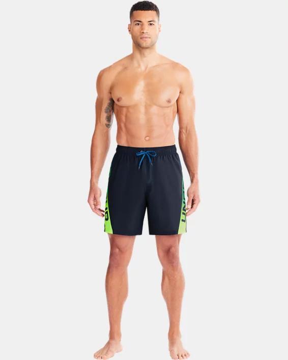 Men's UA Point Breeze Swim Volley Shorts Product Image