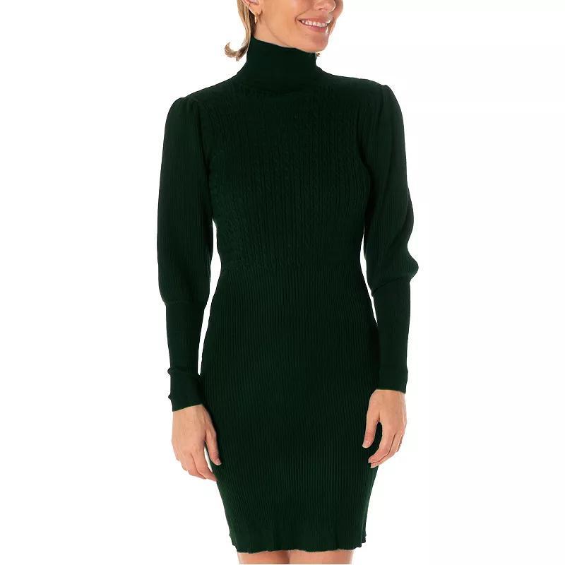 Womens Taylor Turtleneck Sweater Dress Product Image