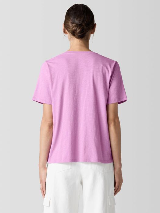 Organic Cotton Slubby Jersey V-Neck Tee Product Image