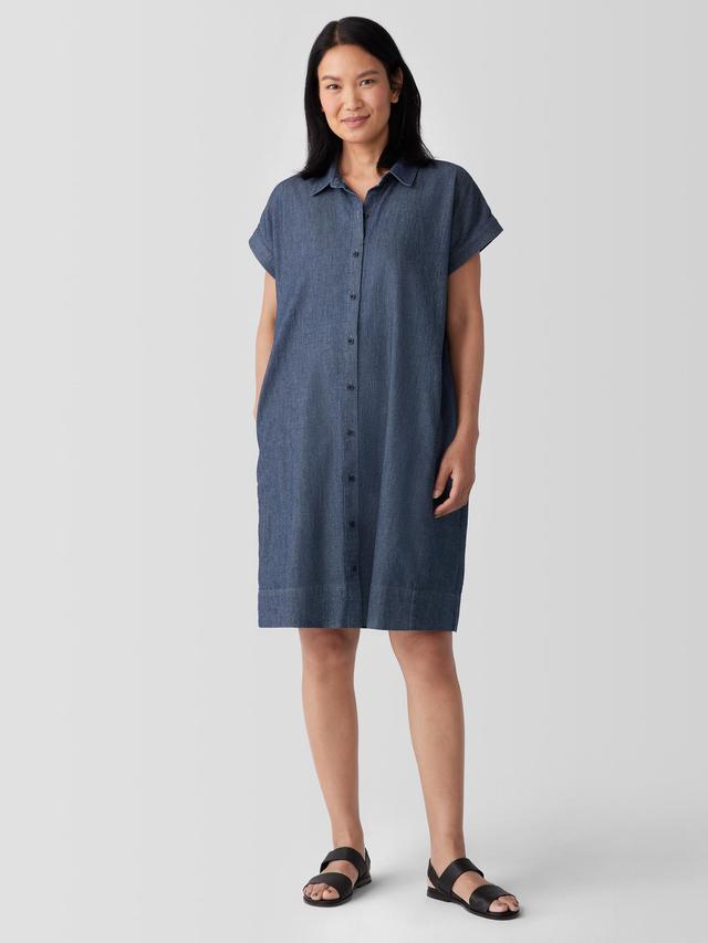 EILEEN FISHER Airy Organic Cotton Twill Shirtdressfemale Product Image