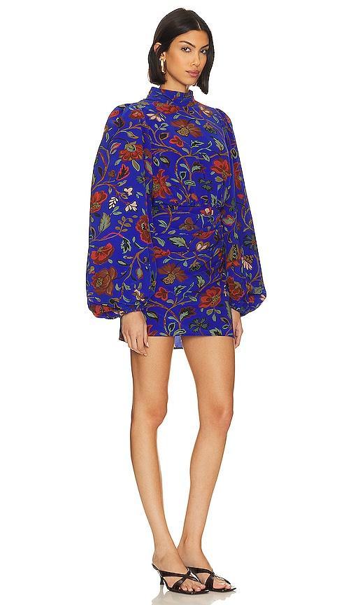 Womens Luke Floral Puff-Sleeve Minidress Product Image