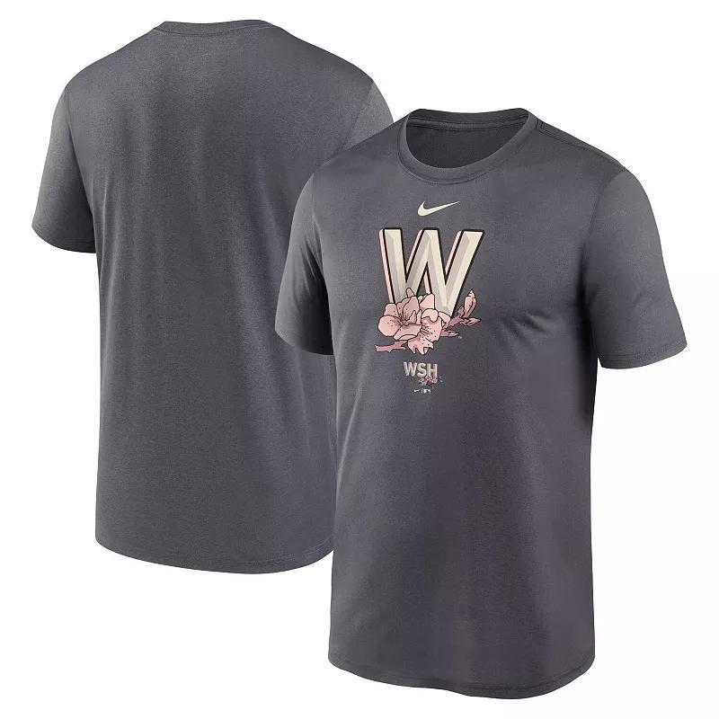 Mens Nike Gray Washington Nationals City Connect Logo T-Shirt Product Image