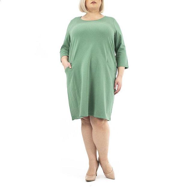 Plus Size Nina Leonard Pocketed Trapeze Dress, Womens Product Image