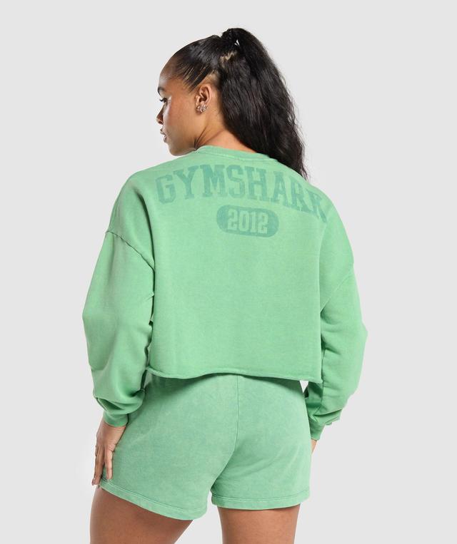 Collegiate Shadow Washed Midi Sweatshirt Product Image