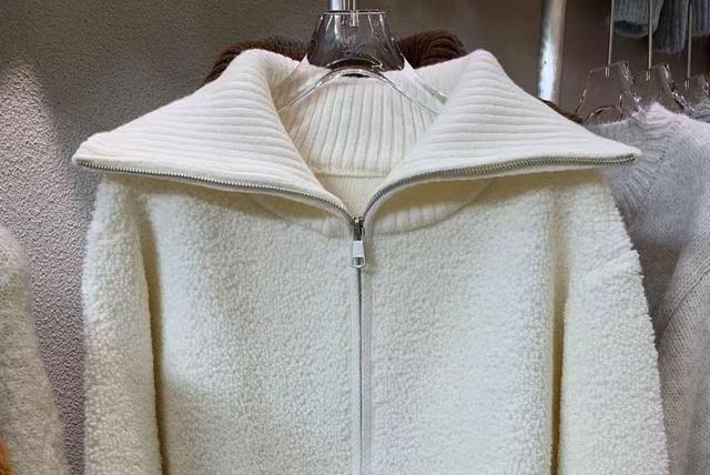 Collared Plain Zip-Up Cardigan Product Image