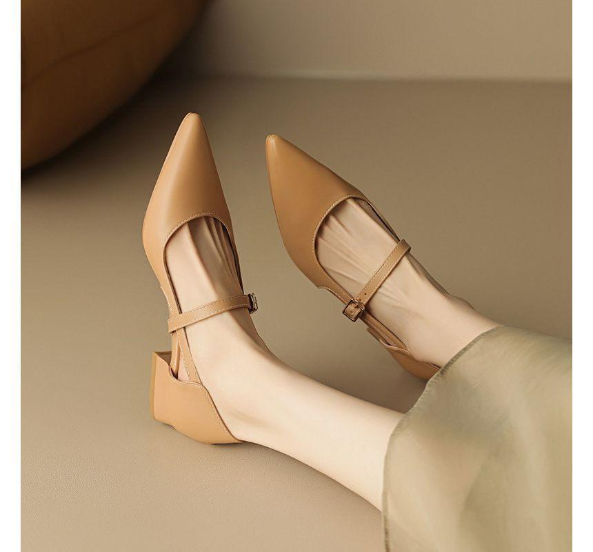 Pointed Toe Cutout Mary Jane Shoes Product Image