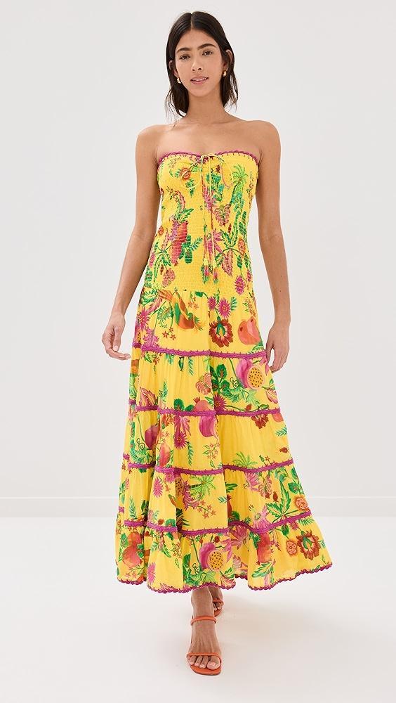 FARM Rio Delicate Fruit Garden Yellow Smocked Maxi Dress | Shopbop Product Image