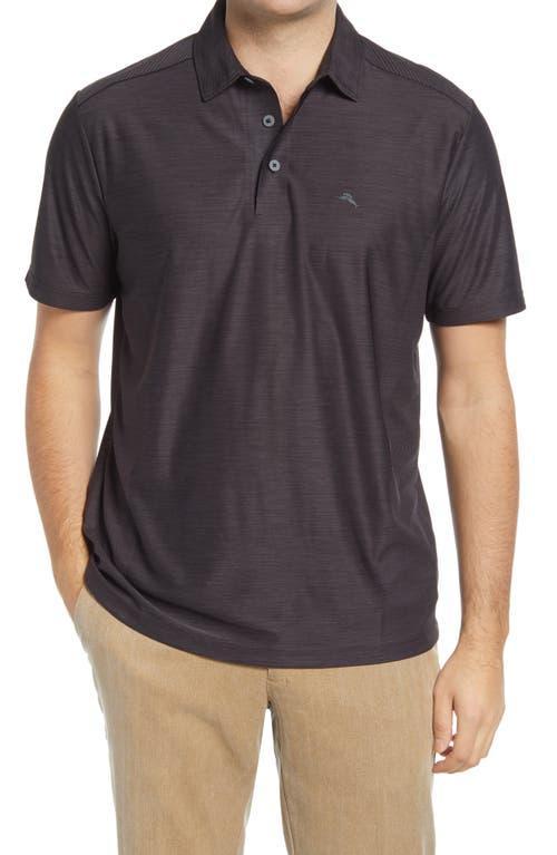 Tommy Bahama Palm Coast Classic Fit Polo Product Image