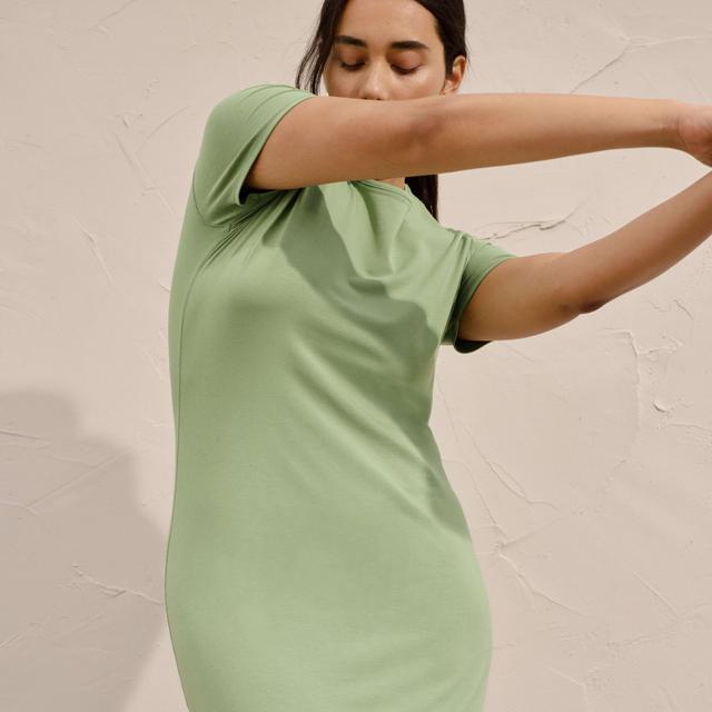 Womens Form Dress by Everlane Product Image