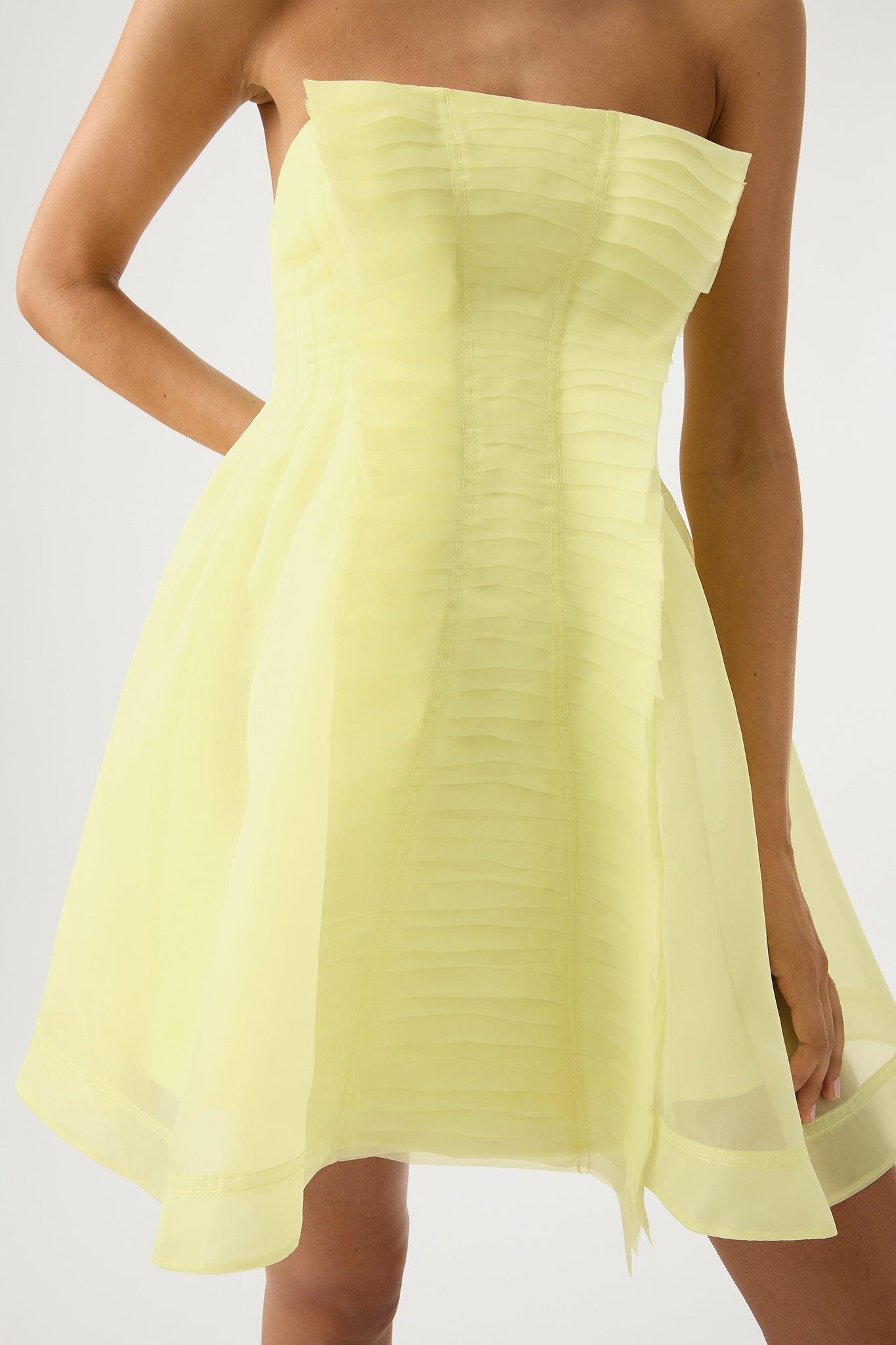 Astrid Strapless Mini Dress Product Image